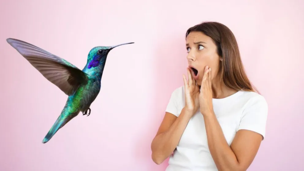 El significado de que un Colibrí se acerque a vos: un mensaje de alegría y esperanza