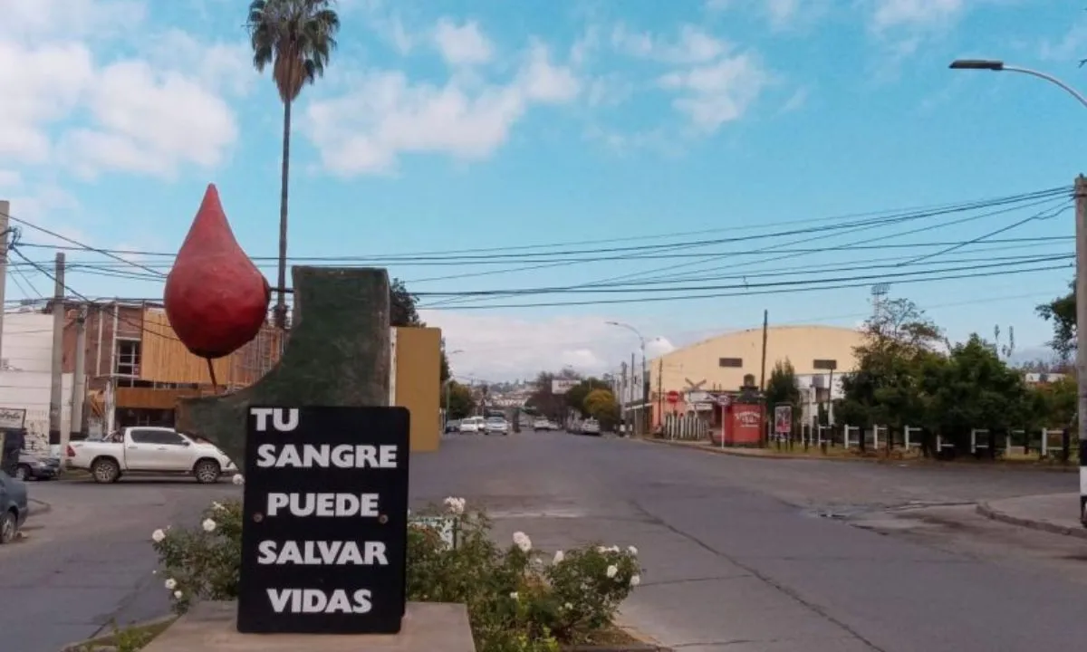 Donaci&oacute;n de Sangre