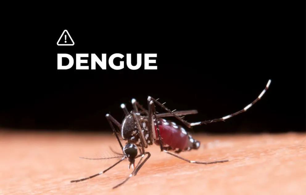 Alerta por dengue en Salta Capital: las autoridades insistieron en la prevención durante el invierno