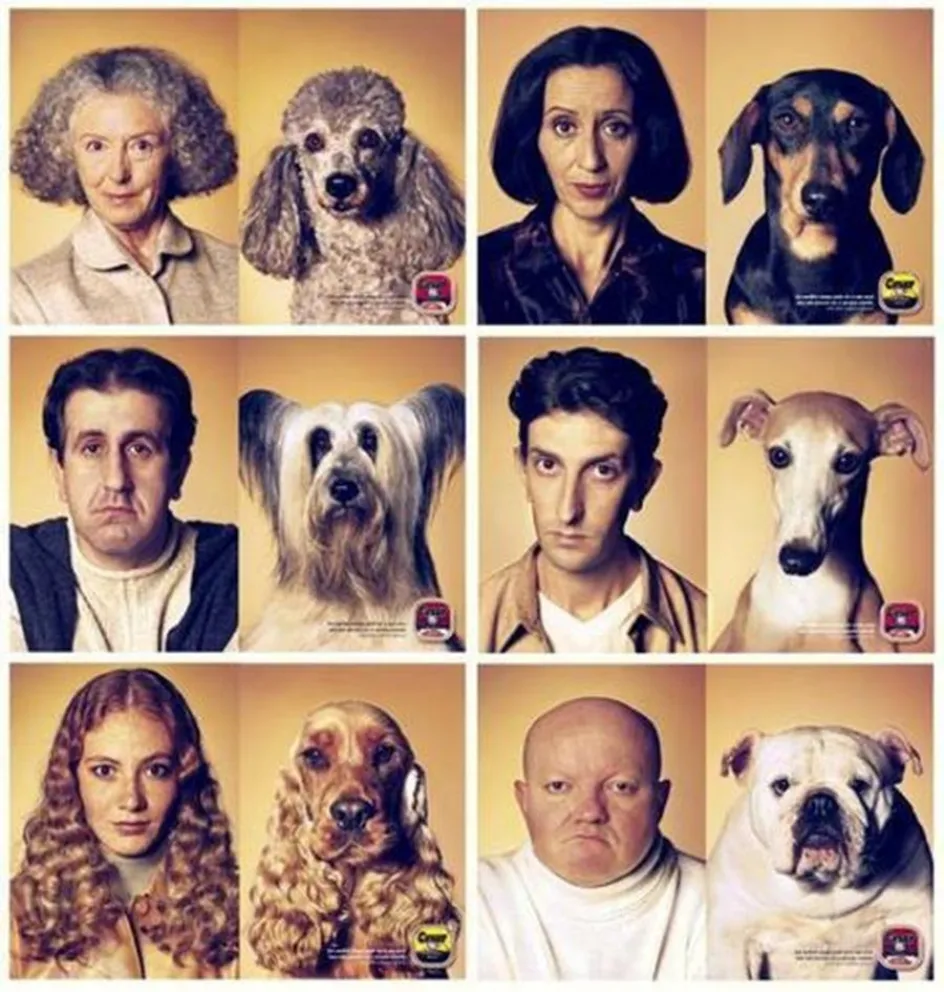 perros 
