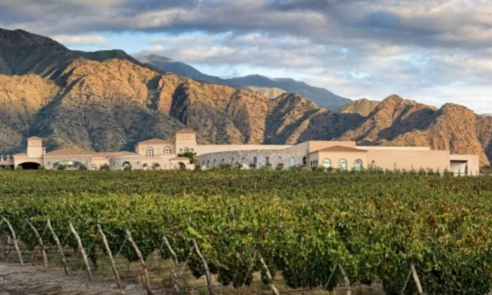 Horror en Cafayate: un operario de una bodega sufrió el hundimiento de su cráneo