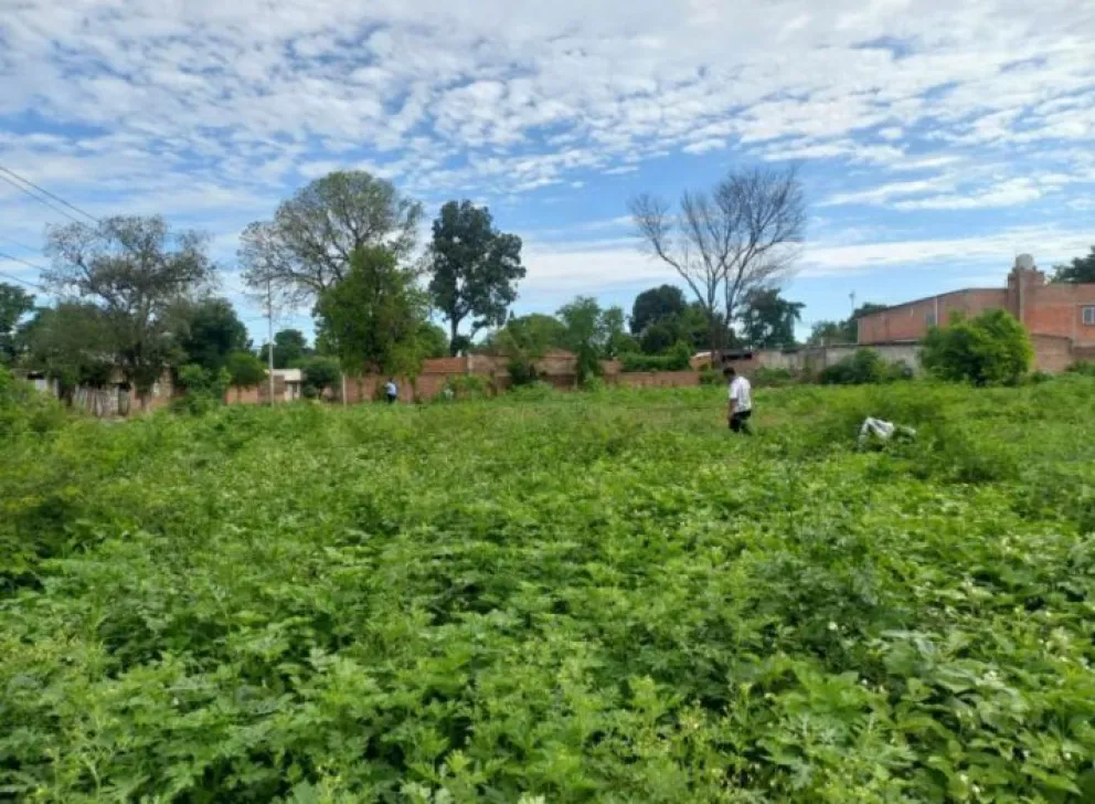 Tartagal: ante la creciente inseguridad, vecinos del barrio San Antonio intentaron ocupar un terreno baldío