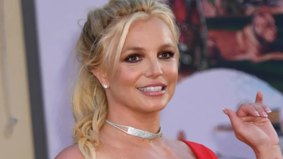 Conocé cuál es el vino argentino que conquistó a Britney Spears: lo elogió en sus redes sociales