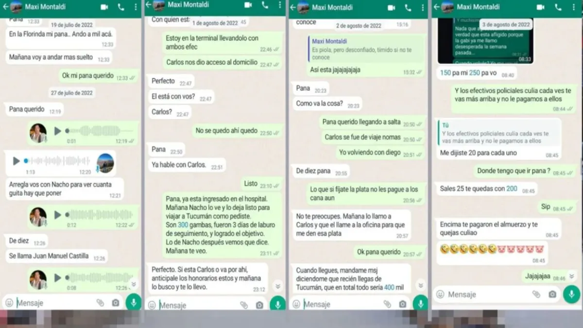 Chats de Dario Monges
