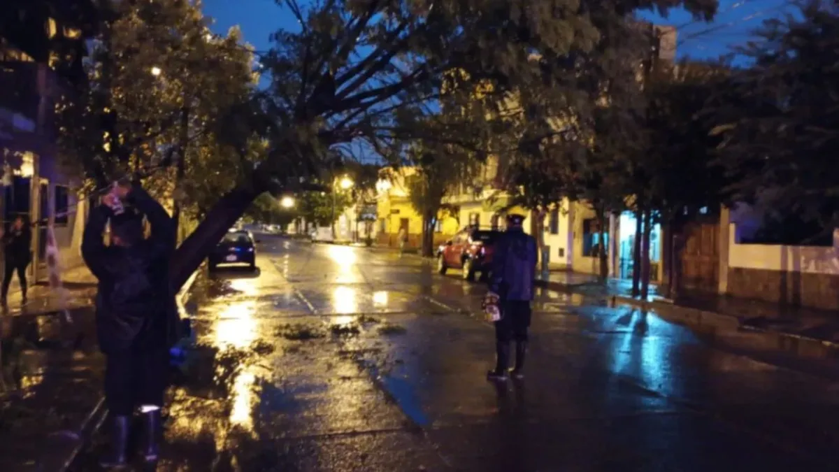 Temporal