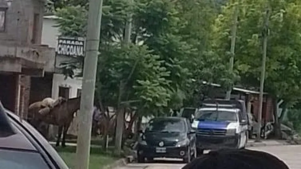 Horror en Chicoana: un joven apuñaló a su padrastro a plena luz del día