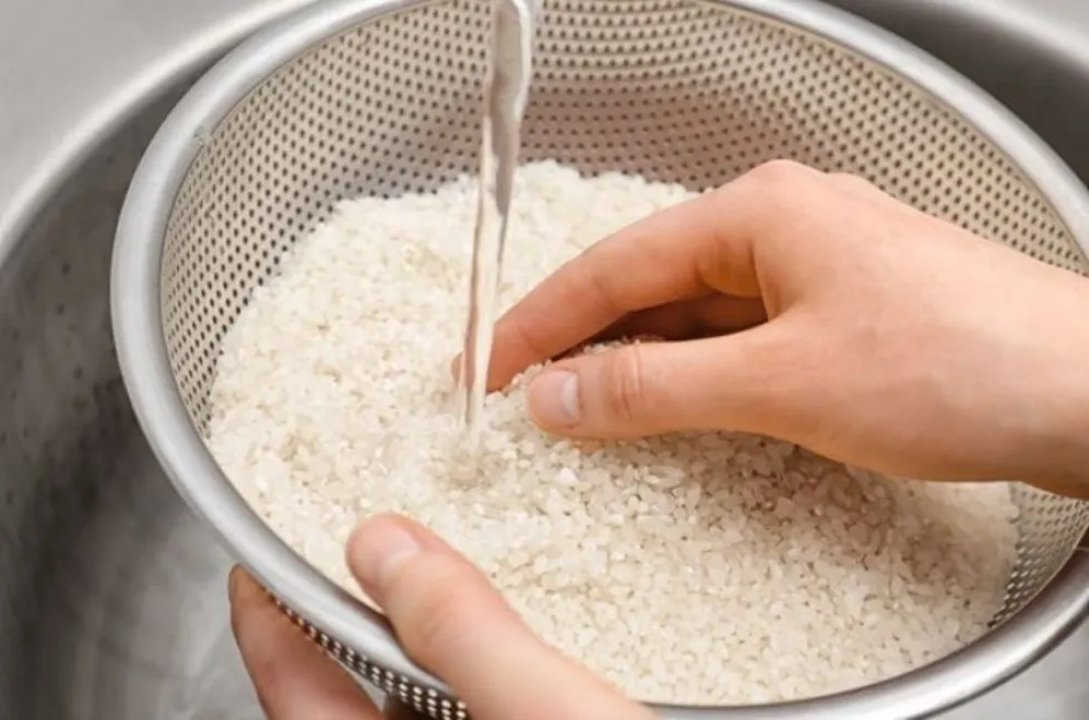 arroz