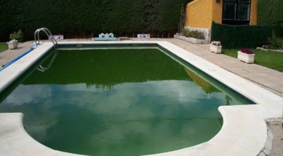 Pileta
