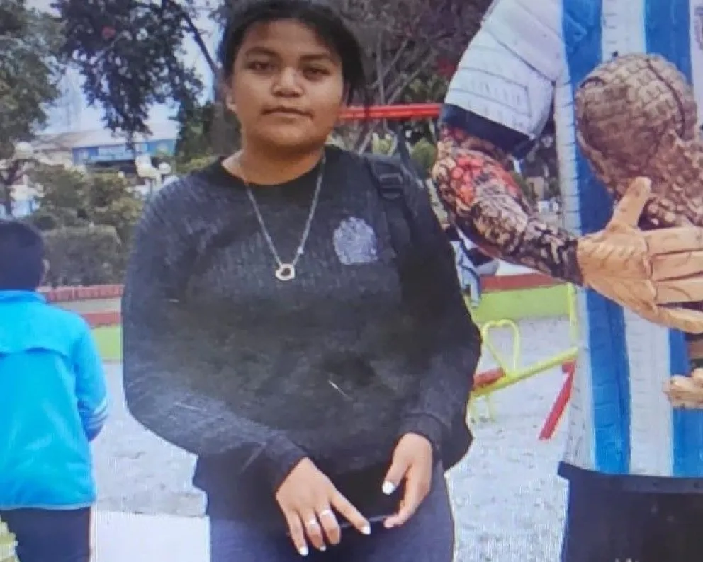 Buscan intensamente a una adolescente desaparecida en General Mosconi