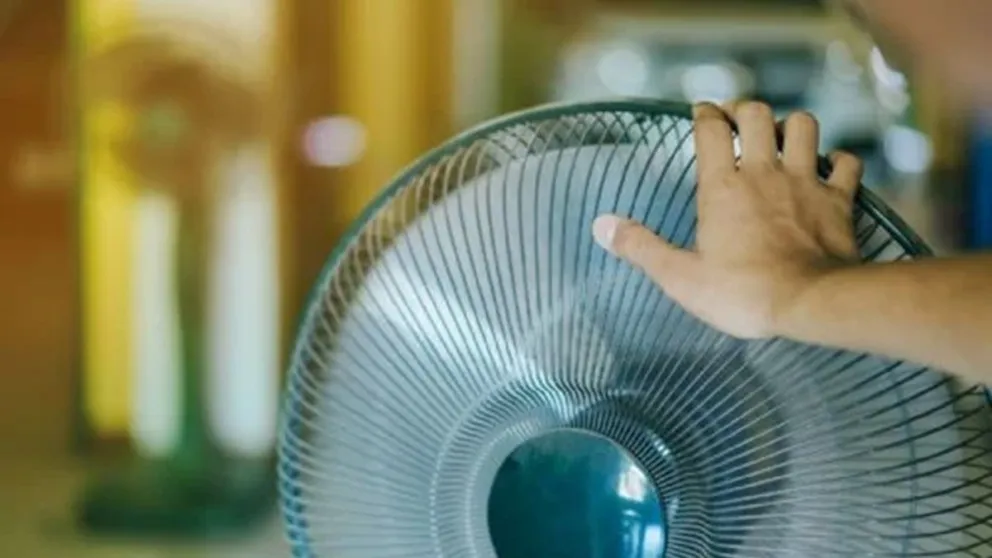 Cómo transformar un ventilador viejo en un regalo para tu gato: un truco de reciclaje que tu mascota adorará