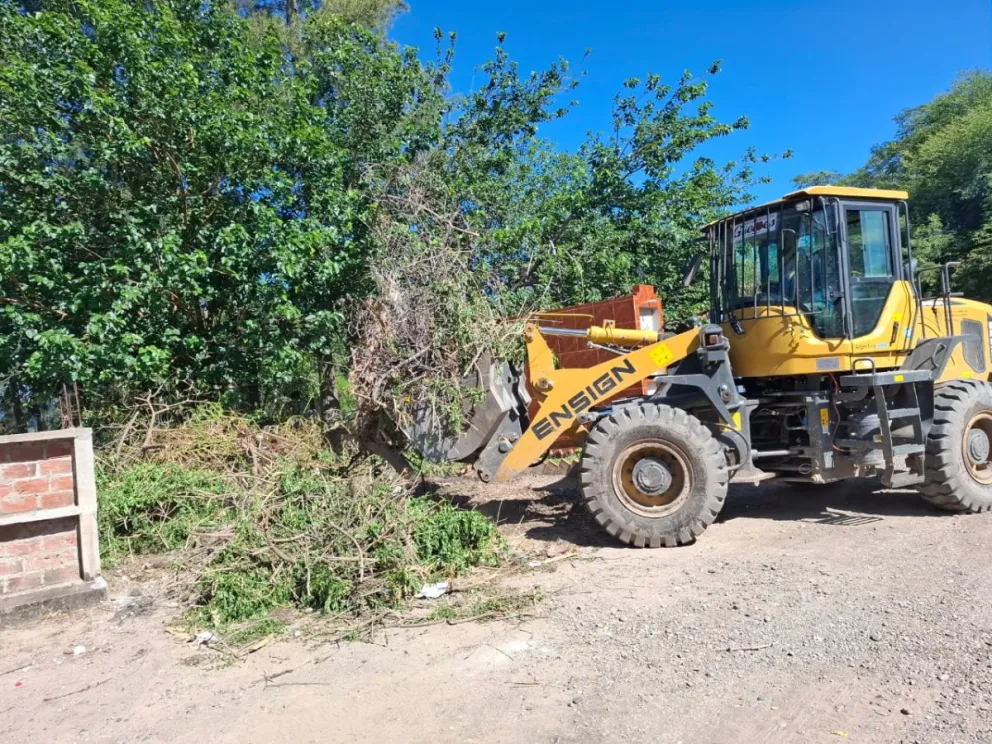 Gestión "Kety" Rosso: la Municipalidad de General Güemes avanza con el operativo de limpieza y mantenimiento