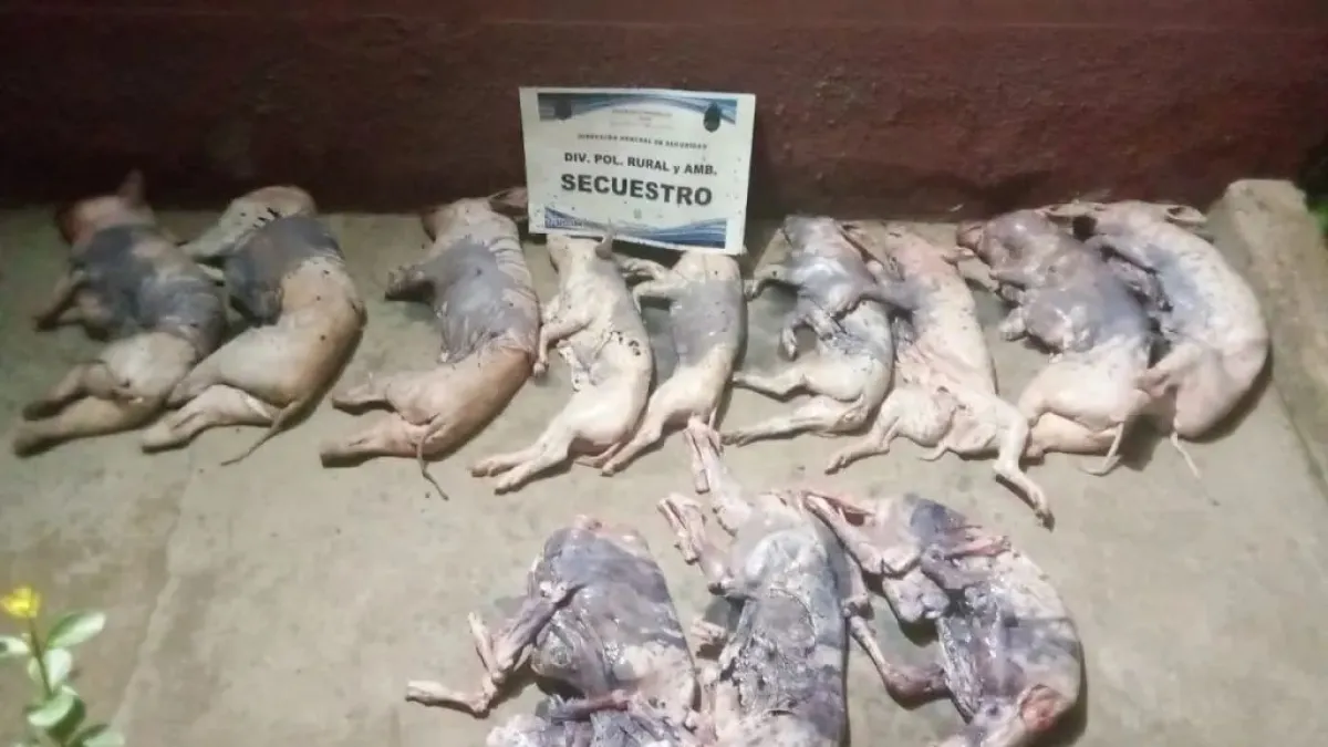 operativo