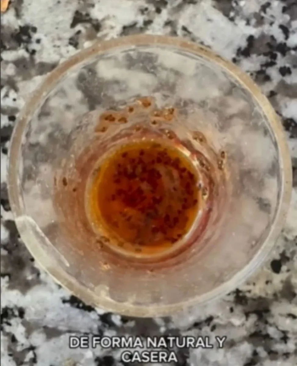 mosquitas de la fruta - truco