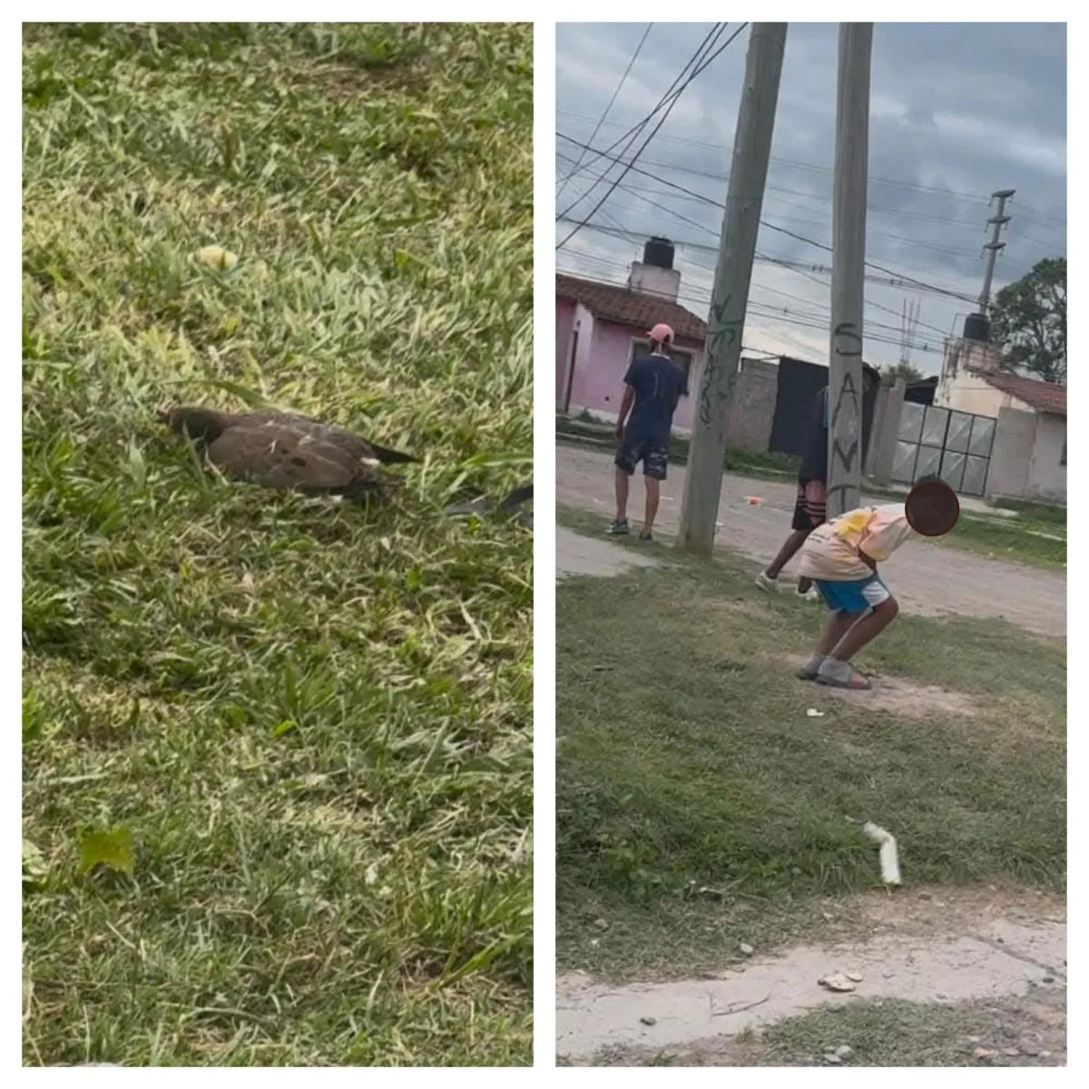 Ni&ntilde;os