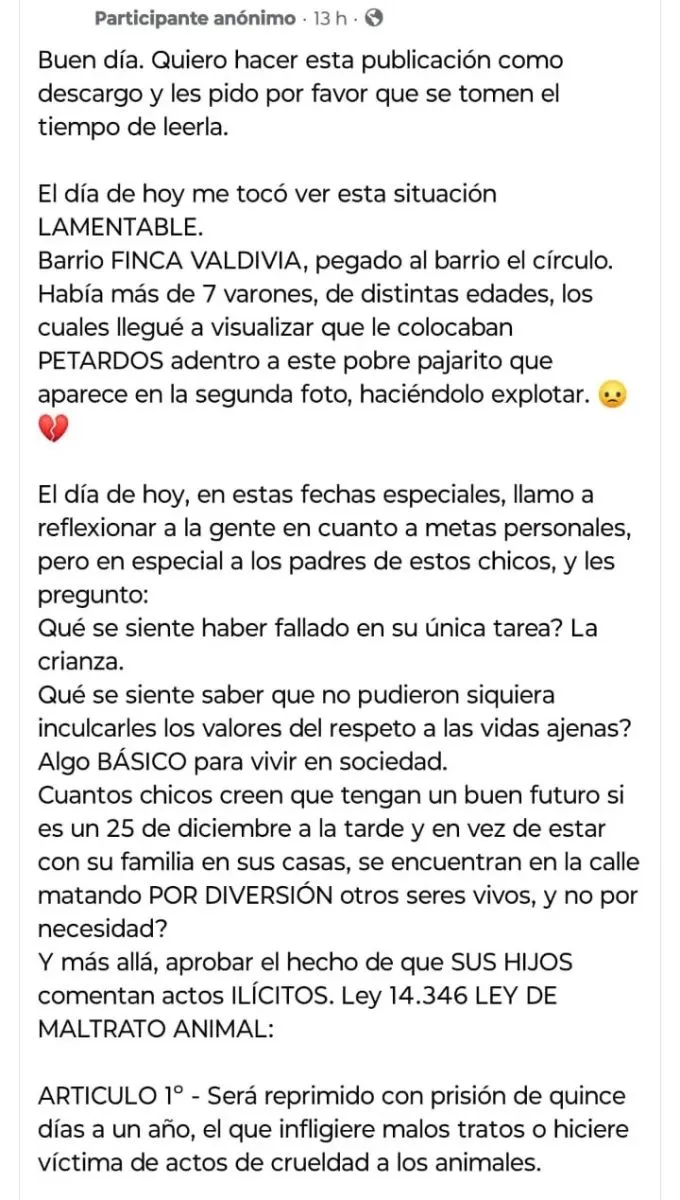 Ni&ntilde;os