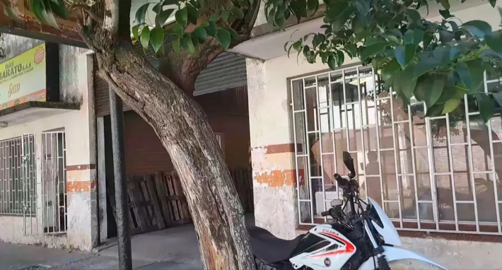Se llevaron de todo: una distribuidora de Tartagal sufrió un imponente robo