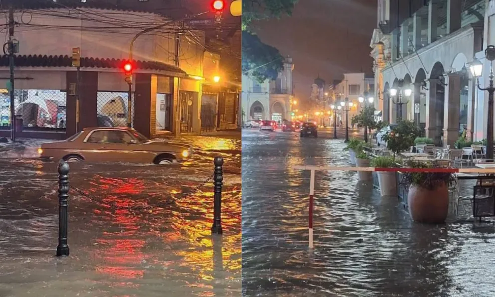 Fuerte temporal en Salta y en Valle de Lerma: se registraron varias calles anegadas y caída de árboles