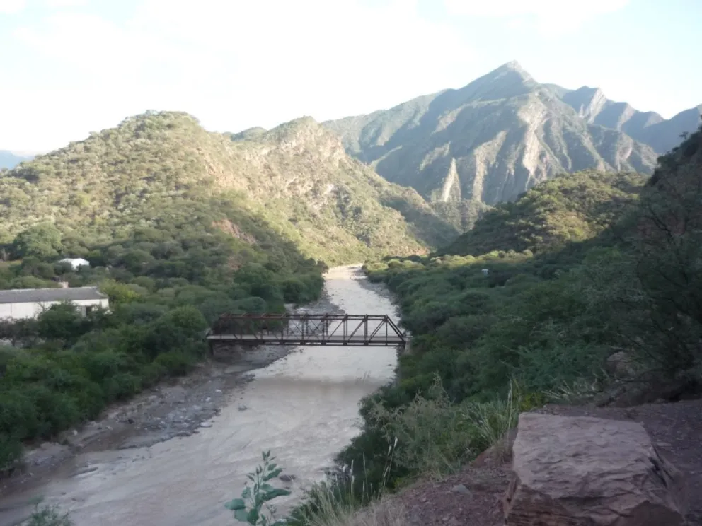 Por la crecida del Río Guachipas, decenas de sábalos quedaron atrapados en el barro