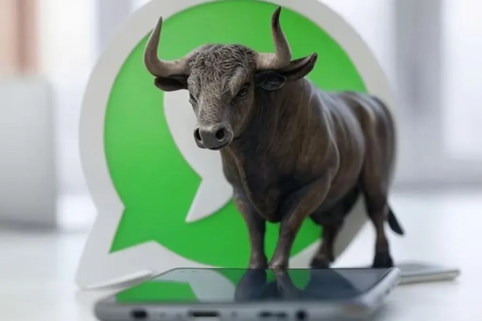 Modo Toro - WhatsApp