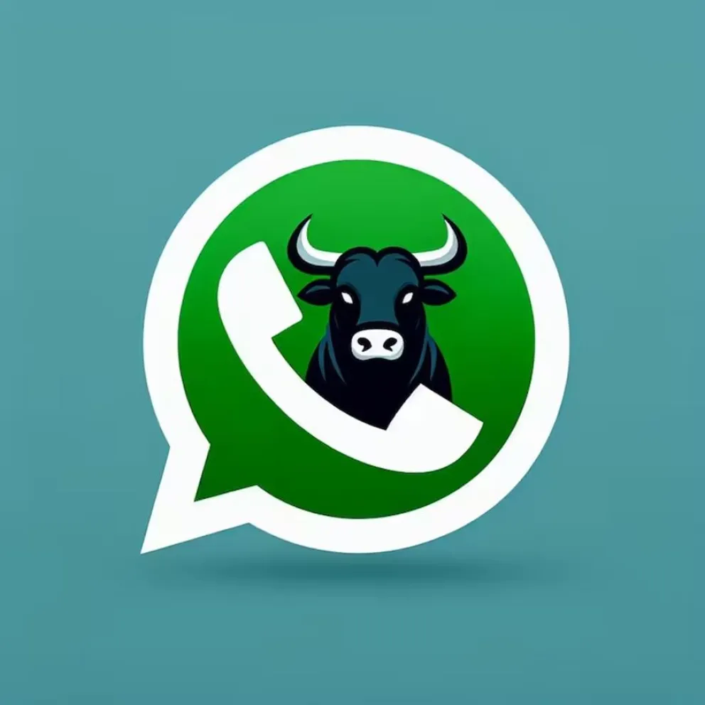 Modo Toro - WhatsApp
