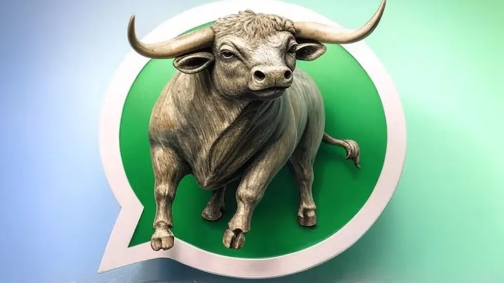 Descubrí qué significa tener el "Modo Toro" en tu WhatsApp: el paso a paso para activarlo
