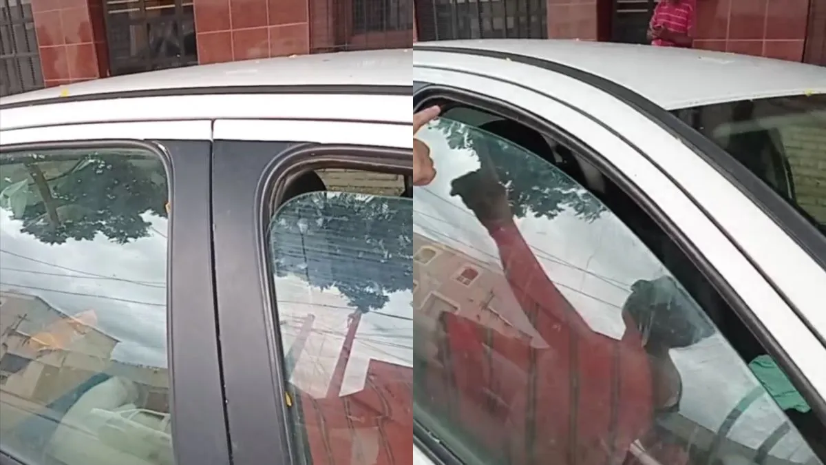 Animal encerrado en el auto
