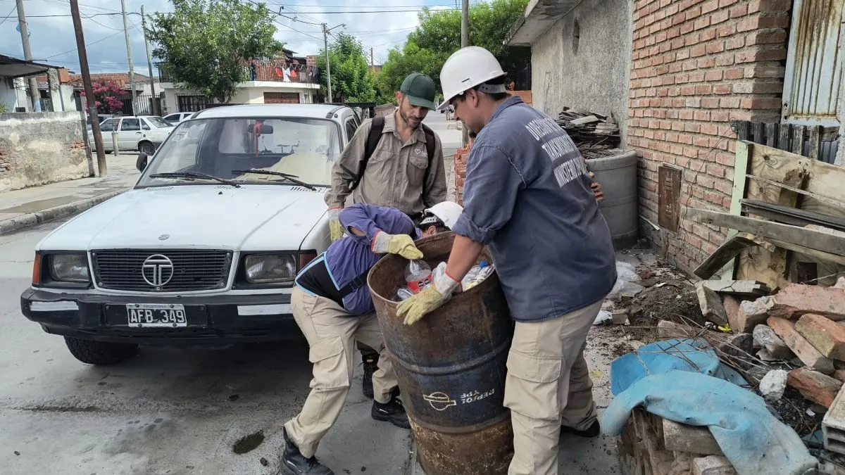 Dengue en Salta 