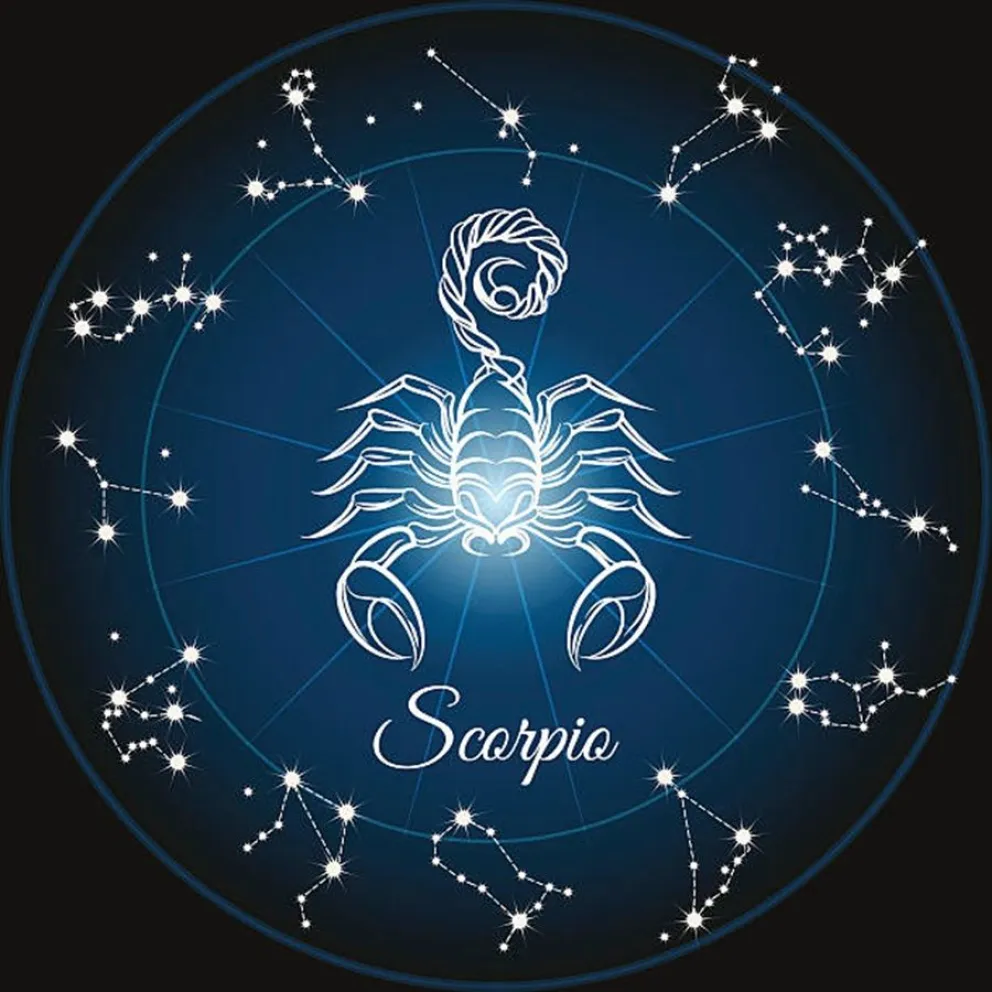 Luna Nueva - signos del zod&iacute;aco