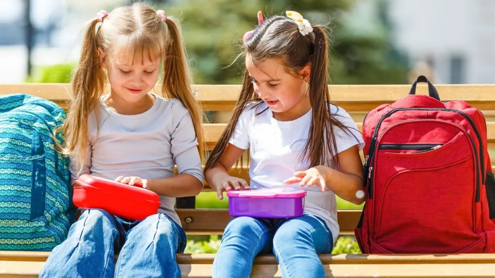 Los imperdibles trucos para hacer las viandas de tus hijos irresistibles: los 5 menús más saludables y divertidos