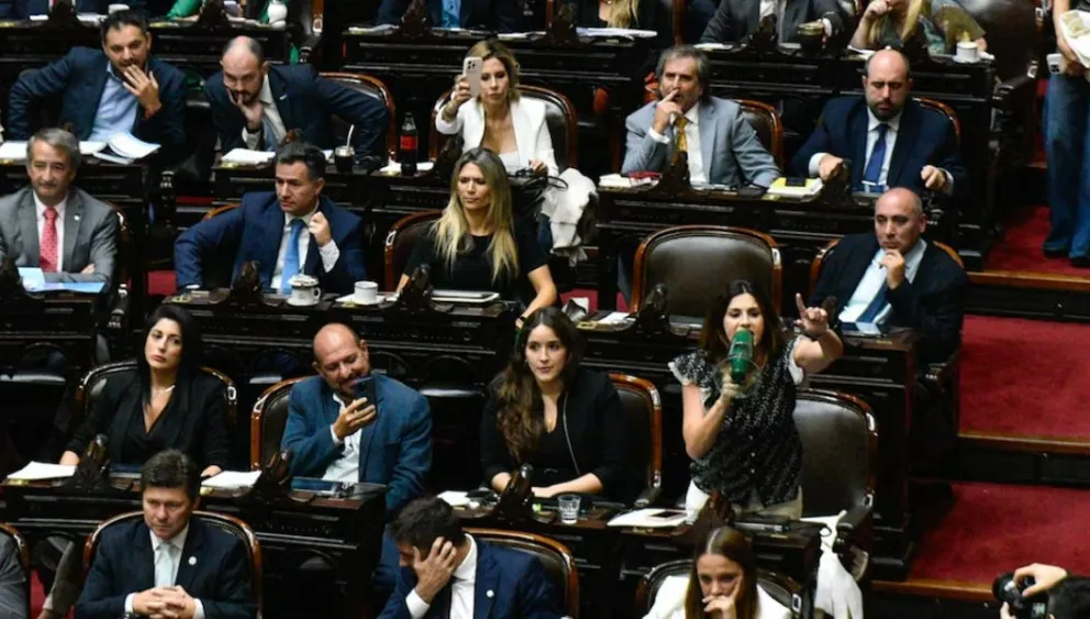 Sesión caliente en Diputados por el préstamo con el FMI: Martín Menem en el centro de la polémica