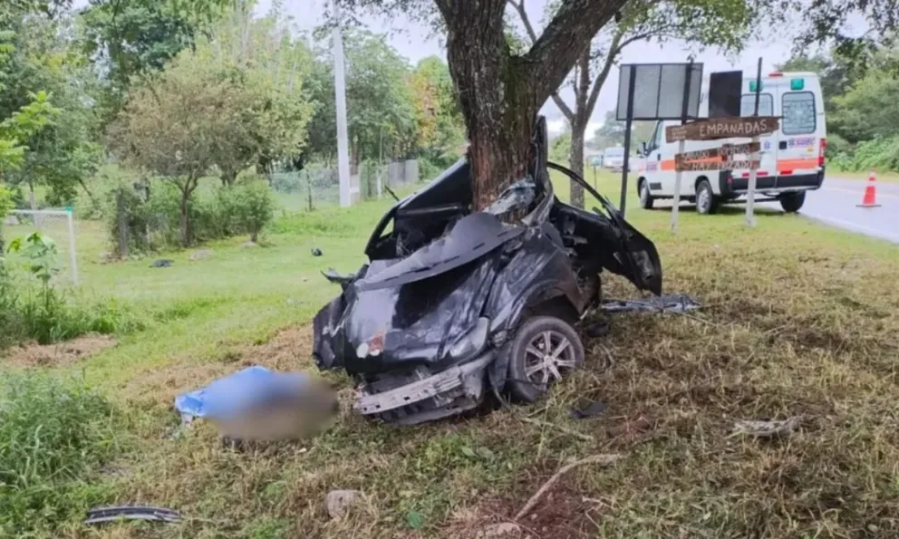 Escalofriante accidente en Ruta 28: un hombre perdió la vida tras incrustar su auto contra un árbol