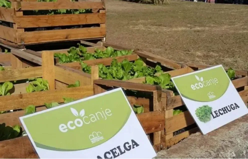 EcoCanje