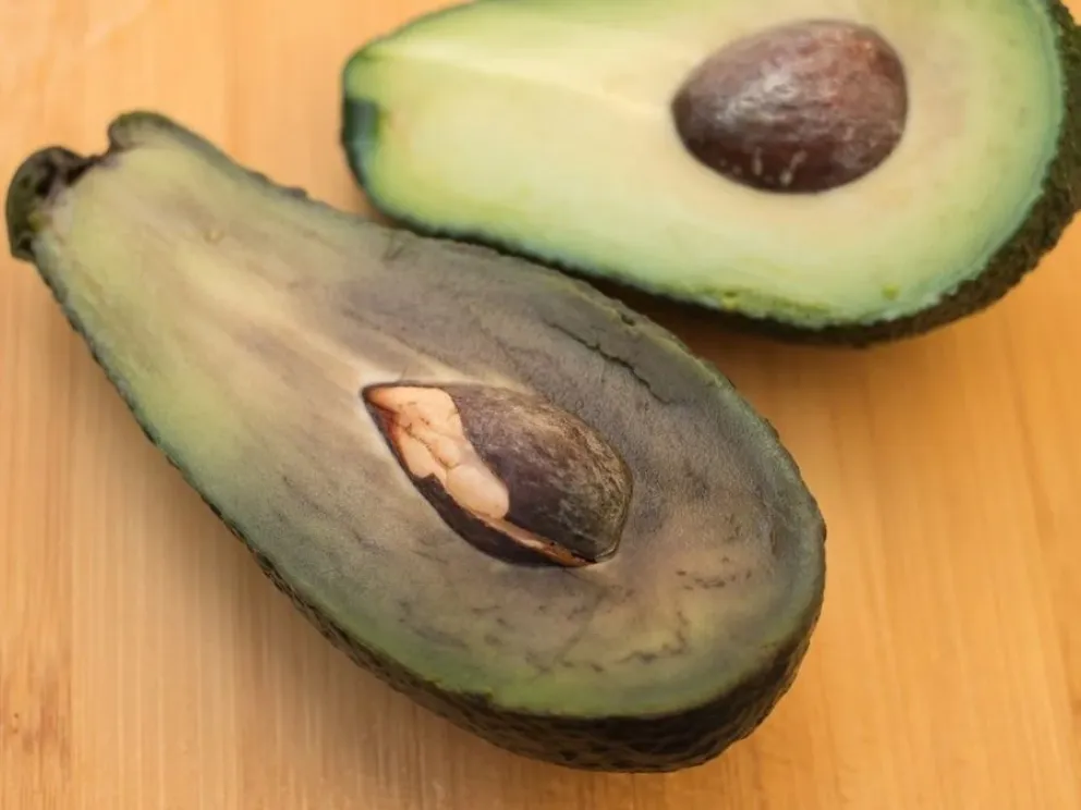 palta - fresca