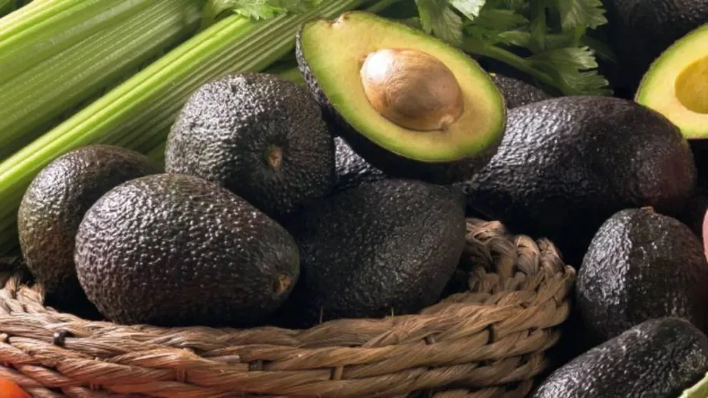 El truco viral que permite que tu palta se mantenga fresca dentro de la heladera: te lo contamos