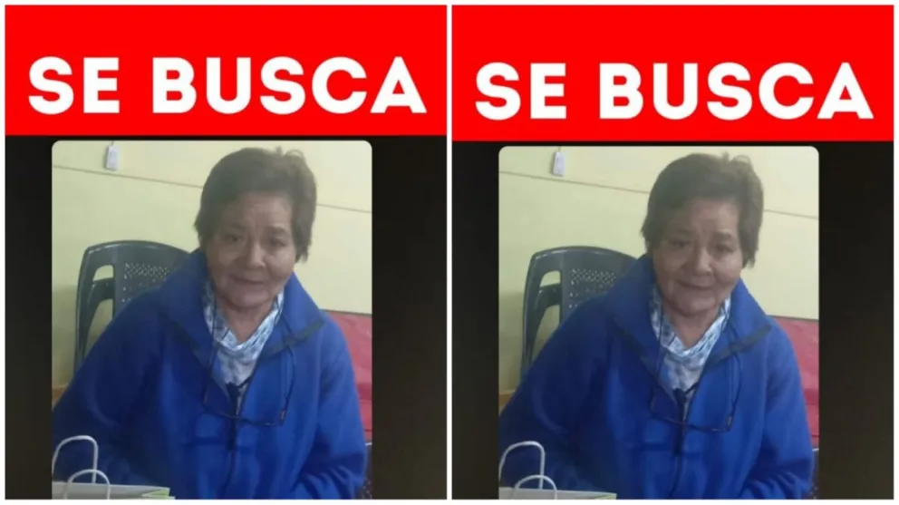 Buscan intensamente a una abuela salteña desaparecida: padece alzheimer