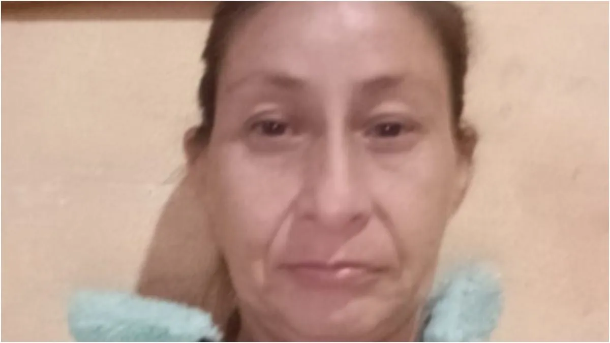 Salte&ntilde;a desaparecida 