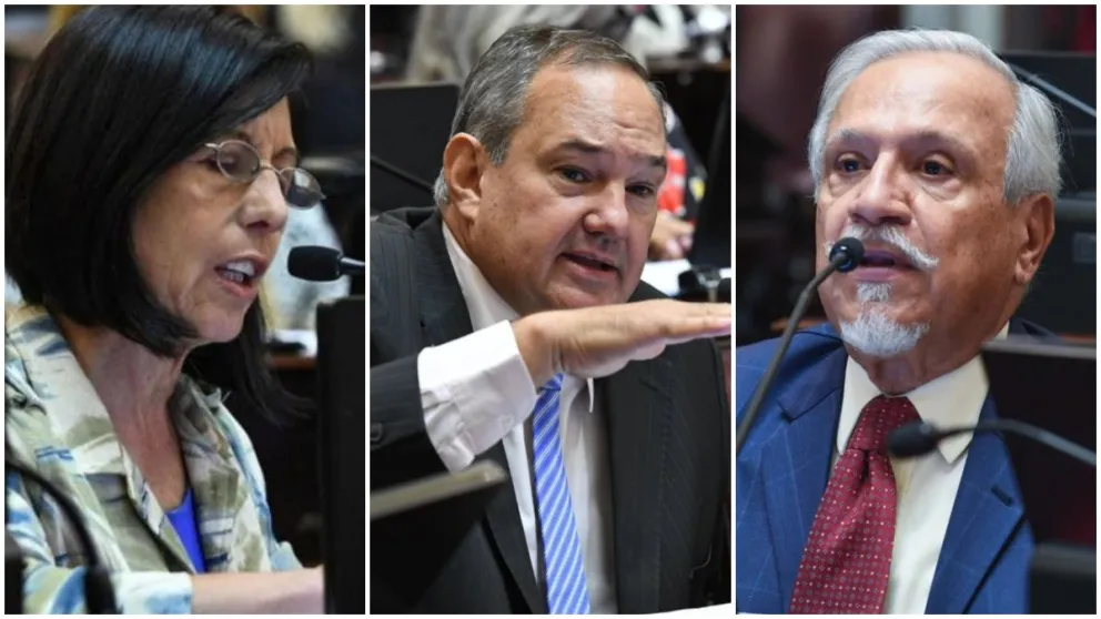 El Congreso rechazó Ficha Limpia: así se repartieron los votos los senadores salteños
