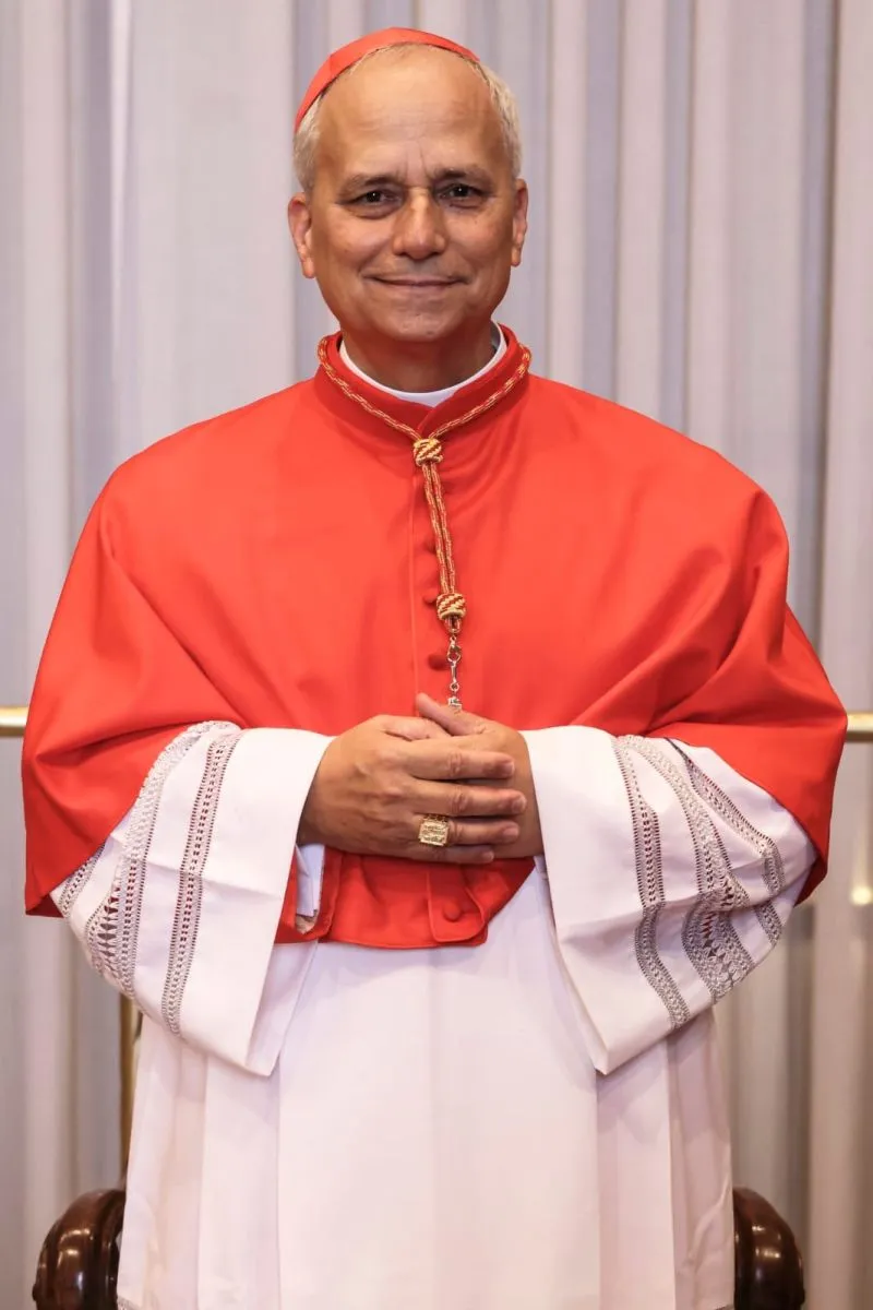 Papa Le&oacute;n