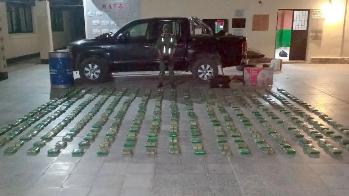 Hojas de coca
