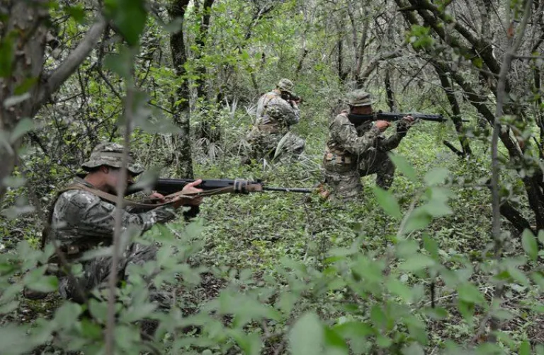 Militares