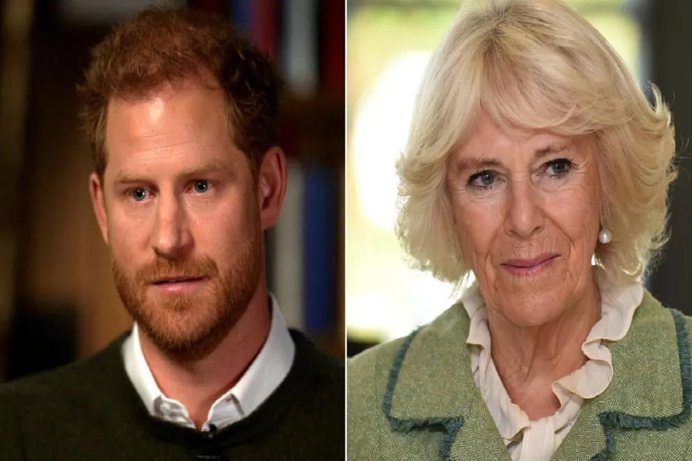 Camila Parker Bowles y su odio profundo hacia el príncipe Harry: la verdad oculta que divide a la corona