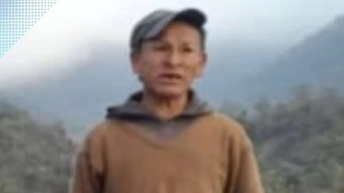 desaparecido