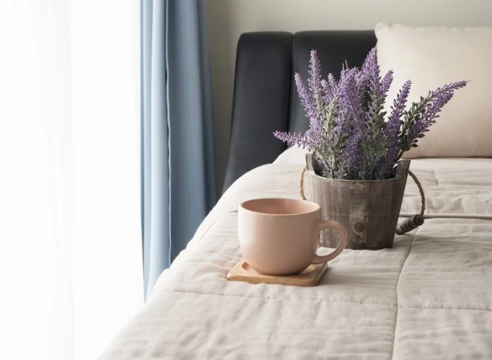 lavanda - Feng Chui