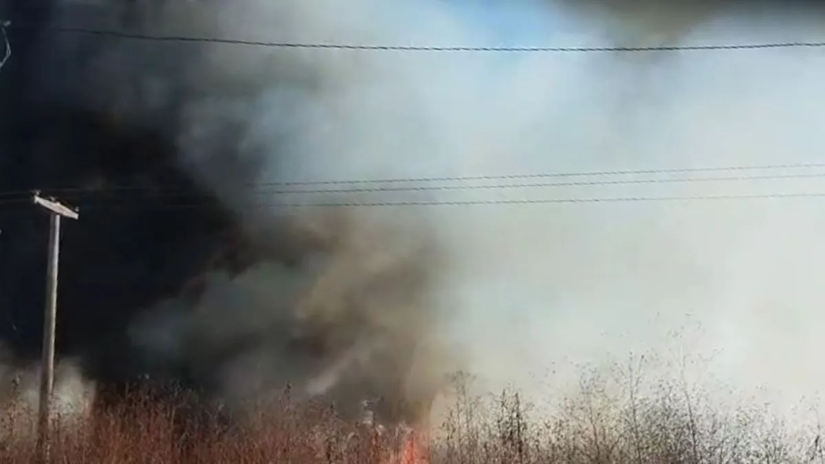 Incendio Forestal
