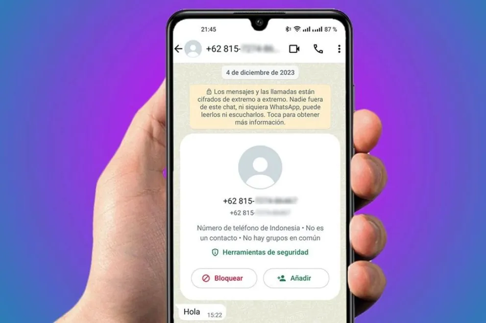 WhatsApp - enga&ntilde;os