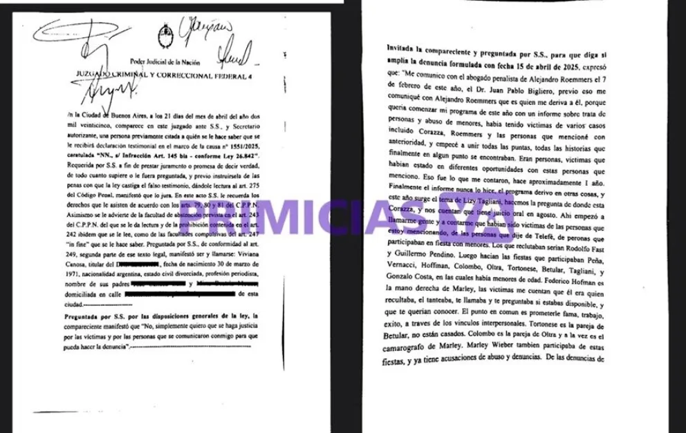 Viviana Canosa - denuncia