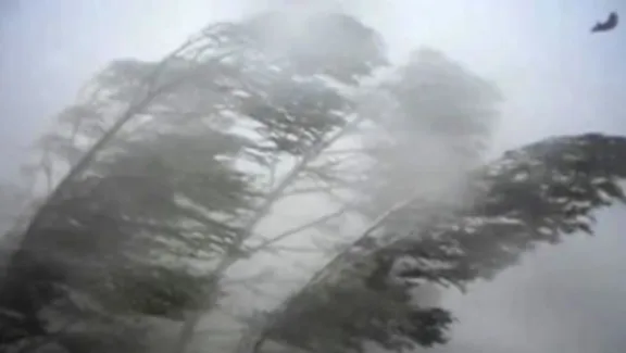 Viento