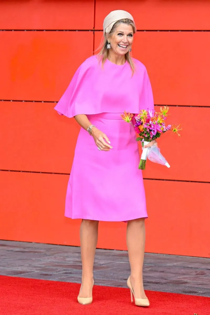 M&aacute;xima Zorreguieta - cr&iacute;ticas