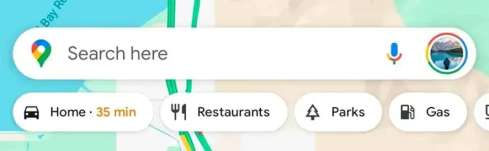 Google Maps
