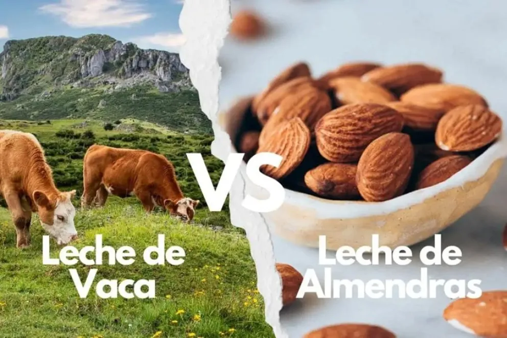 Leche de almendras vs leche de vaca, beneficios y contras